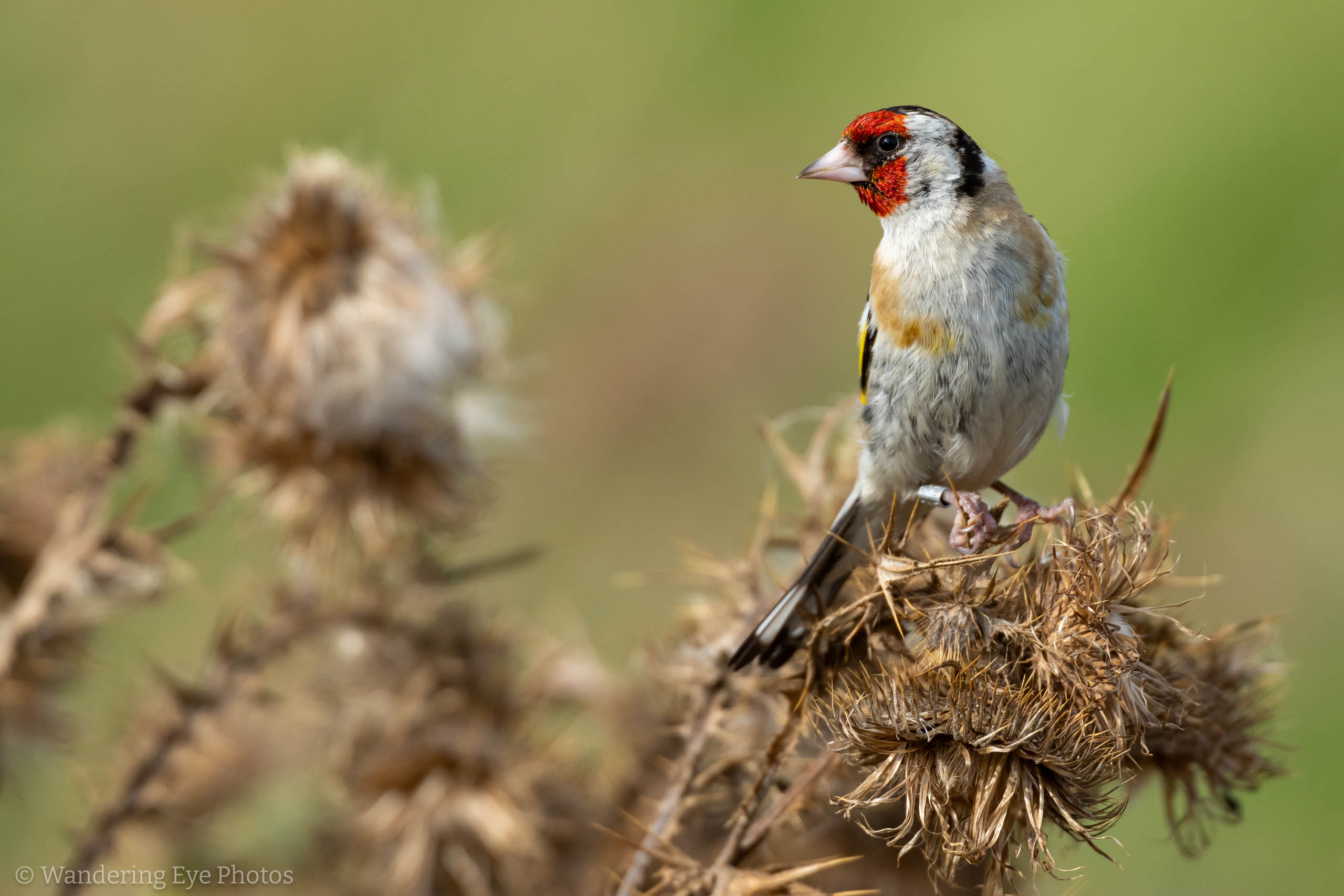 08.26 15.57.50 DSC01652